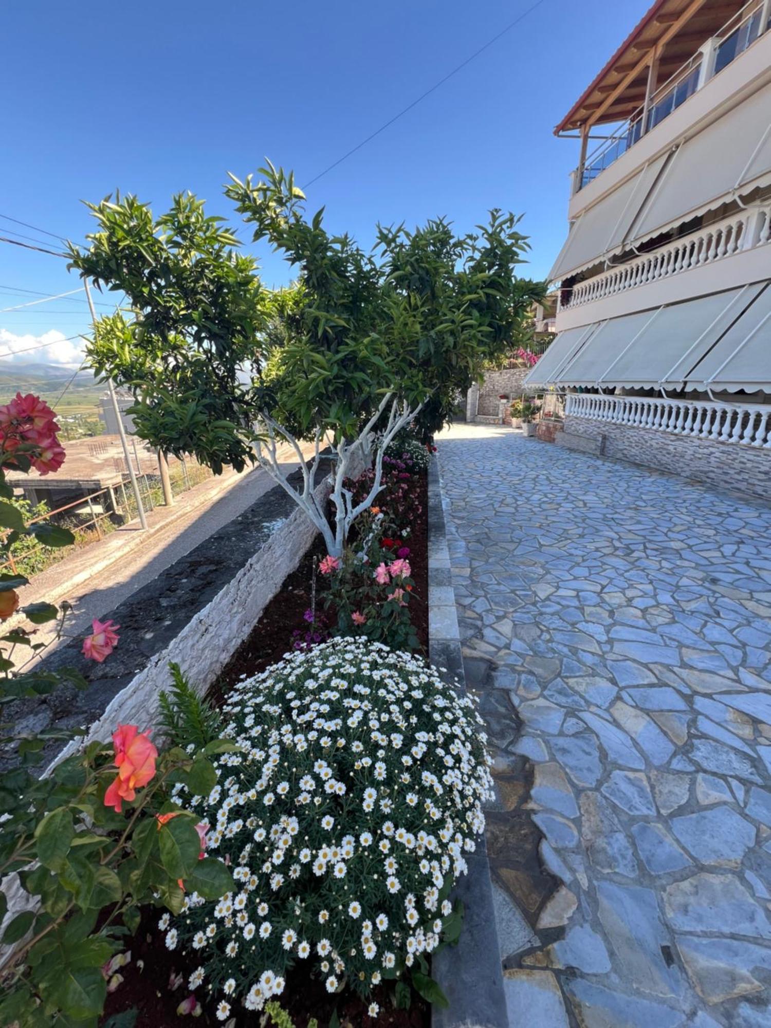 Amazing Familiar Apartments And Rooms Sarandë Exteriör bild